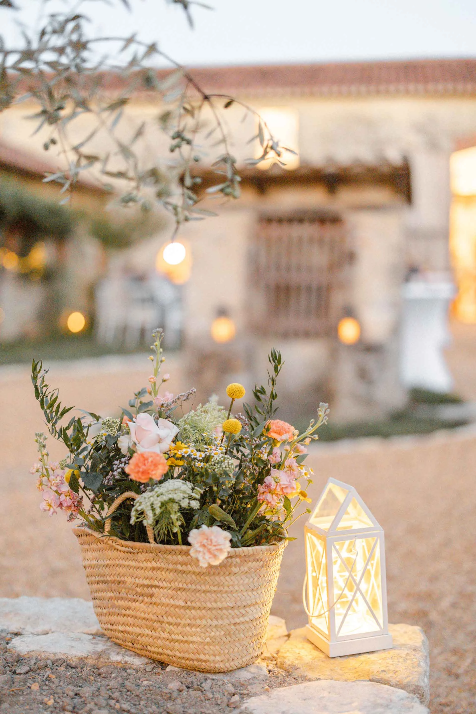 composition florale plante d'intérieur beige marron gris